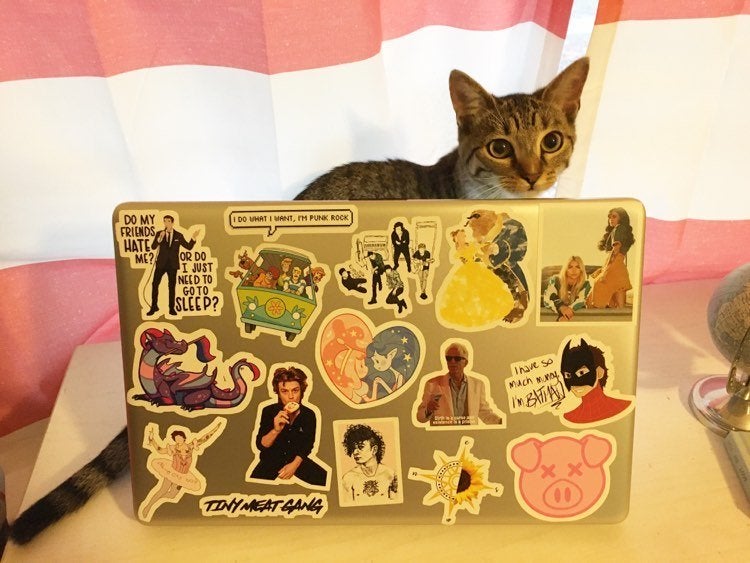 Devon\'s laptop full of stickers, sitting on her desk with her cat behind it
