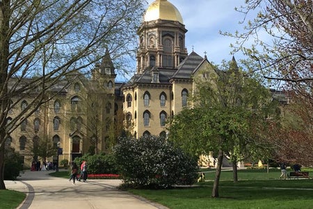 Photo of the Notre Dame Dome