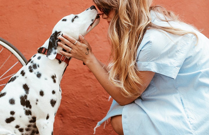 woman petting dalmatian?width=719&height=464&fit=crop&auto=webp