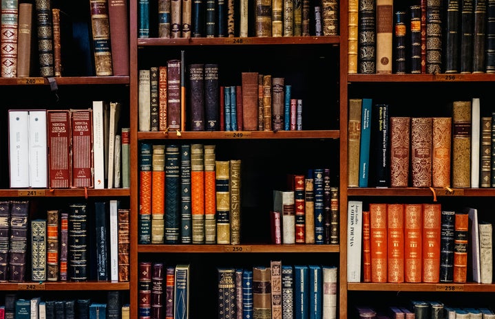 Bookshelf of Old Books