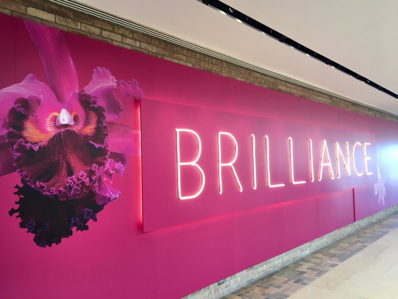 Pink wall that says \"Brilliance\" at the Chicago Botanic Garden