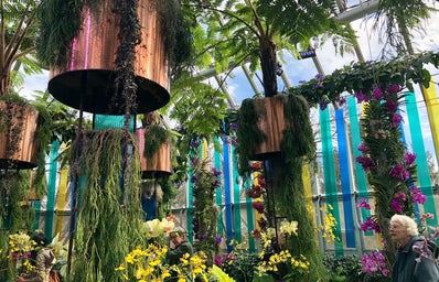Assorted hanging plants at the Chicago Botanic Garden