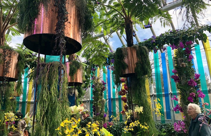 Assorted hanging plants at the Chicago Botanic Garden