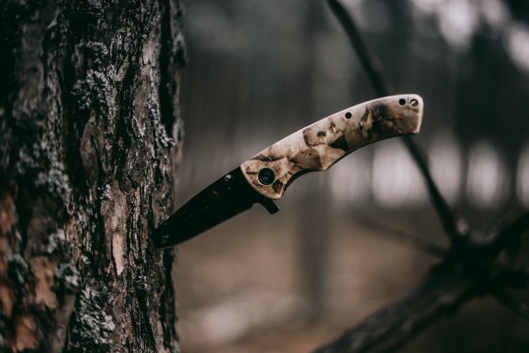 knife stuck in a tree