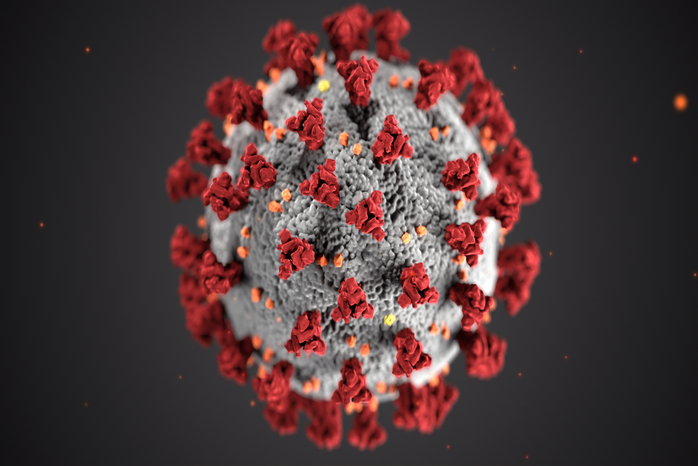 coronavirus illustrationjpg by CDC?width=698&height=466&fit=crop&auto=webp