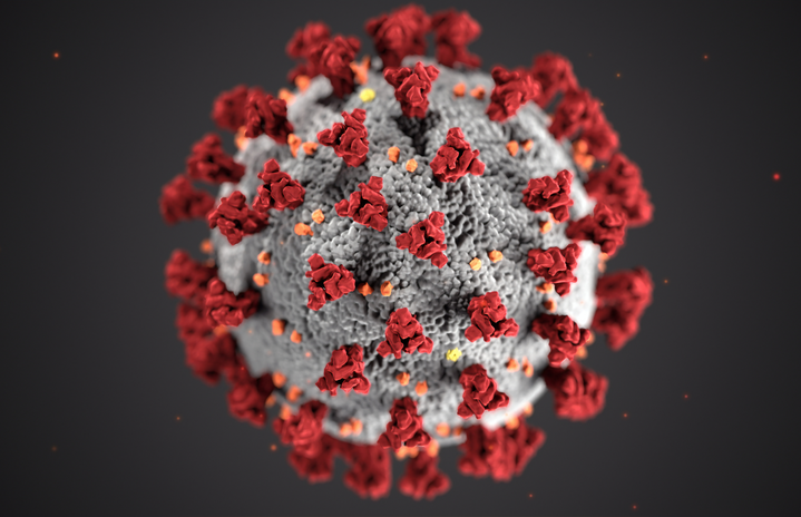 coronavirus illustrationjpg by CDC?width=719&height=464&fit=crop&auto=webp