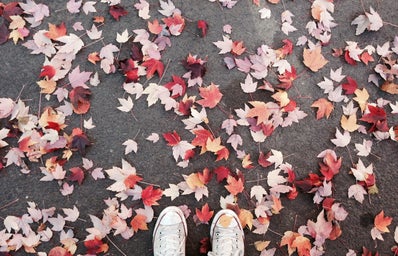 converse with leaves