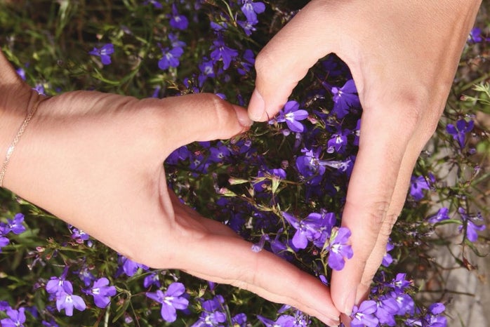 hands making a heart shape over purple flowers shot from above