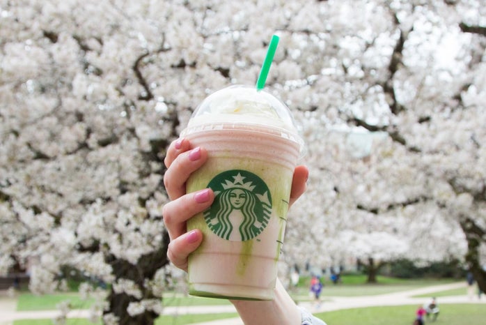 Cherry Blossom Frappuccino low res 1jpg?width=698&height=466&fit=crop&auto=webp