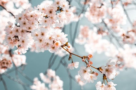 what are the branches of biology and its meaning what are the branches of biology and its meaning