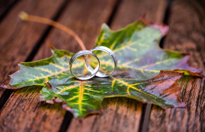 Wedding rings on leaf