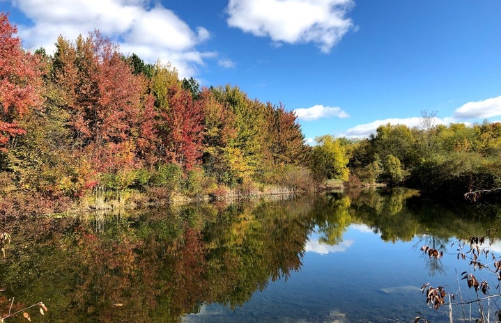 Autumn trees reflected in lake with blue sky