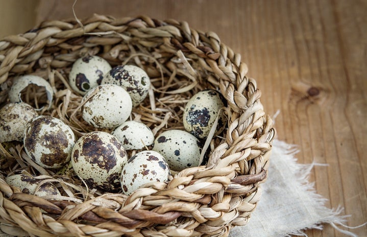 Basket of Quail Eggs
