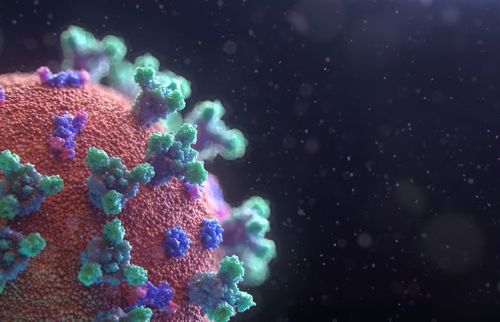 New image of coronavirus