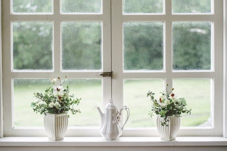 flowers on white windowsill