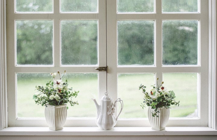 flowers on white windowsill