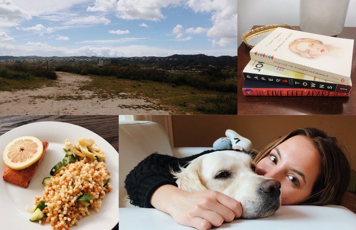 College of activities: girl with dog, food, books, and hiking