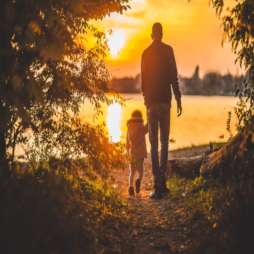 silhouettes during sunset