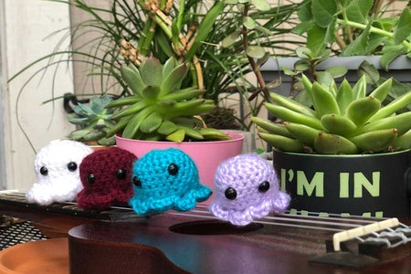 Octopi on Ukulele
