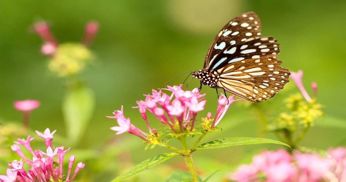 4-signs-winter-is-over-think-spring