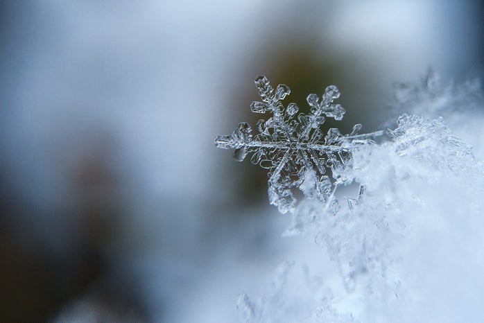 macro photo of a snow flake