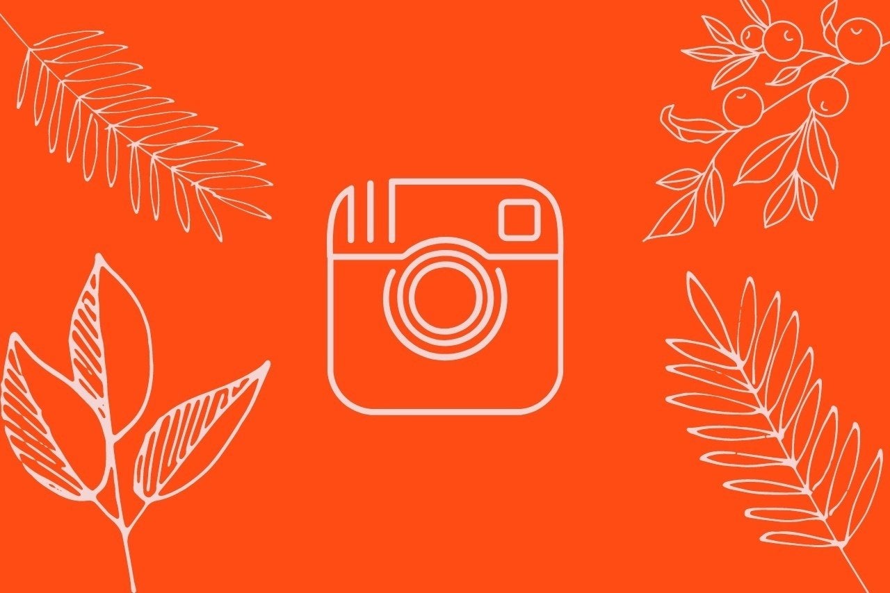 instagram illustration?width=1024&height=1024&fit=cover&auto=webp