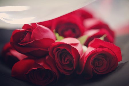 selective focus photography of roses
