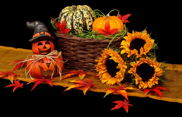 fall decor and assorted pumpkins