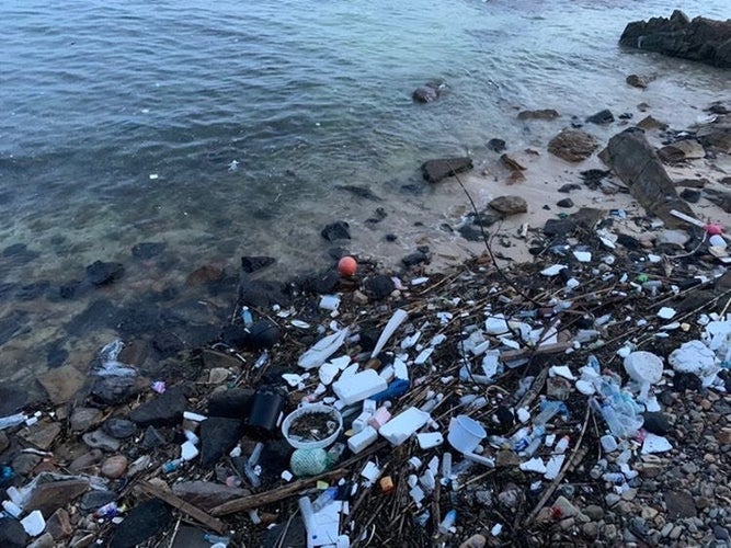 image of plastic garbage washed up on the ocean shore