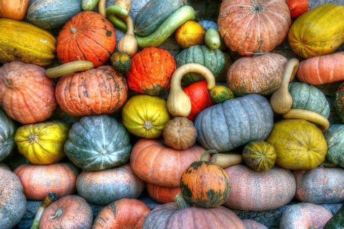 Green Orange and Yellow Pumpkins