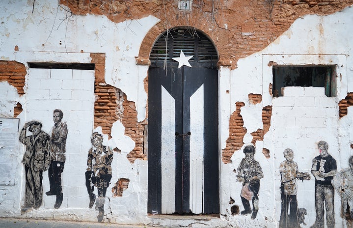 door with painted flag in San Juan, Puerto Rico