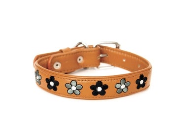 leather-dog-collar
