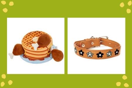 dog-treats-toys