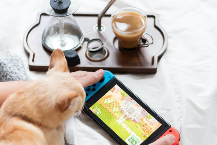 nintendo switch console with cat nearby