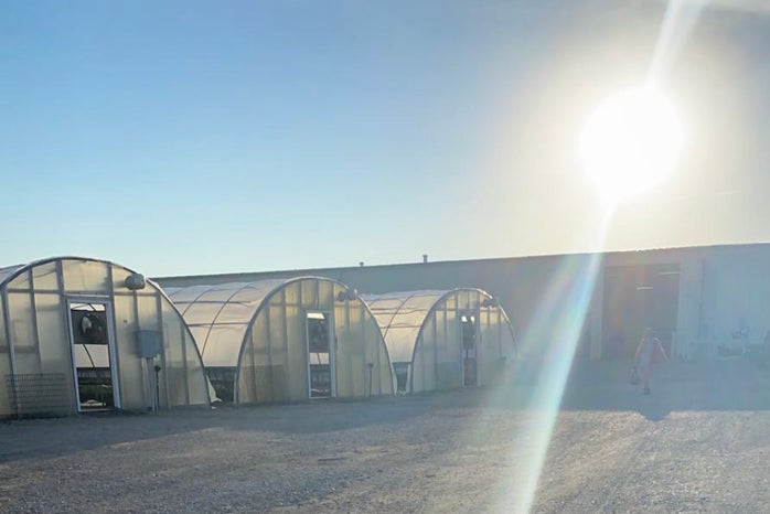 three greenhouses