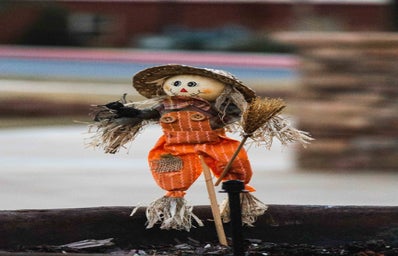 scarecrow in a planter?width=398&height=256&fit=crop&auto=webp