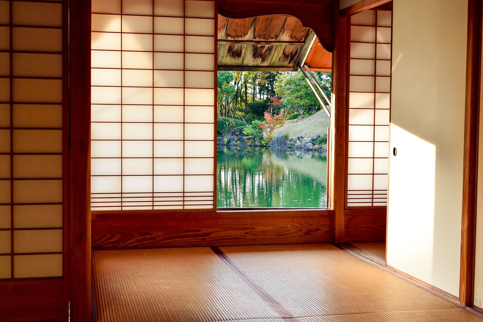 Brown door and traditional Japanese floors looking over nature