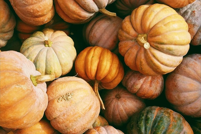 \"pumpkins\"