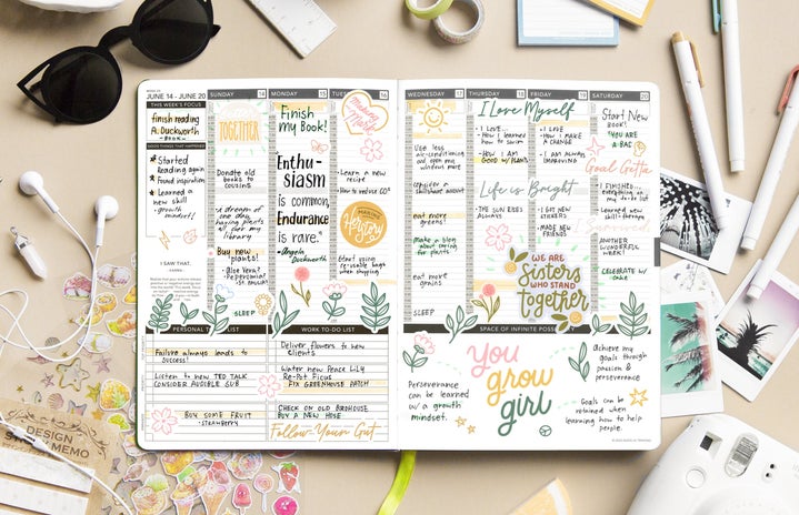 Passion Planner?width=719&height=464&fit=crop&auto=webp