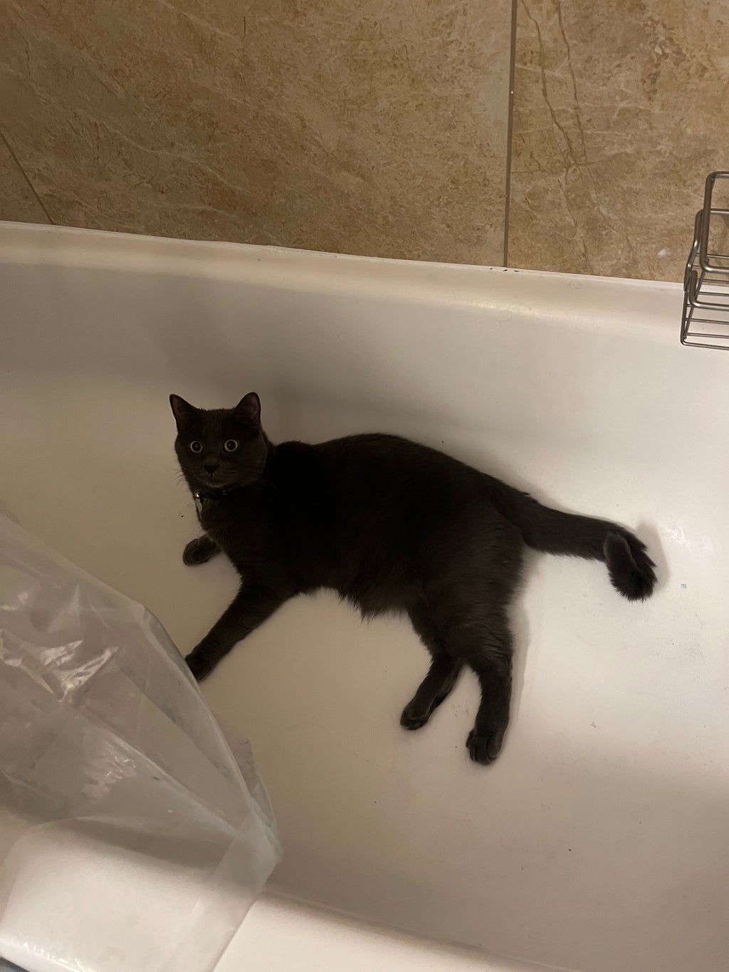 Ash in the Bathtub
