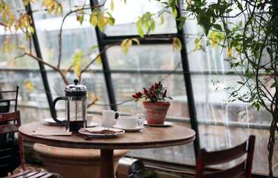 coffee shop by large windows and plants
