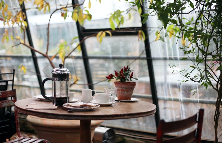 coffee shop by large windows and plants by Kris Atomic?width=719&height=464&fit=crop&auto=webp