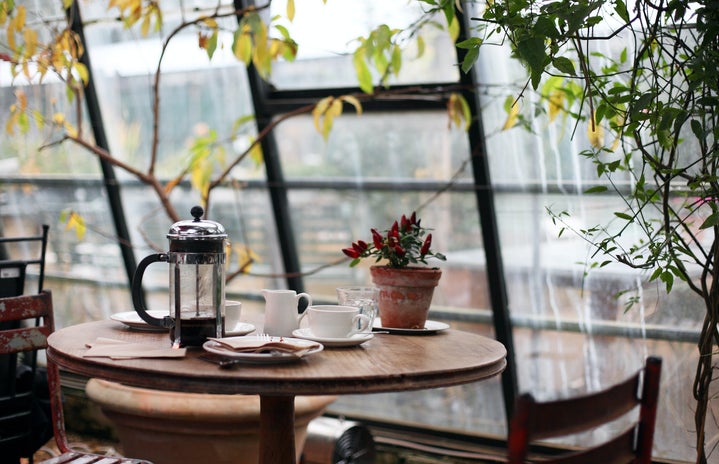 coffee shop by large windows and plants by Kris Atomic?width=719&height=464&fit=crop&auto=webp