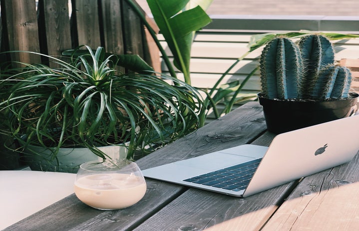 laptop with plants by Jane Palash from unsplash?width=719&height=464&fit=crop&auto=webp