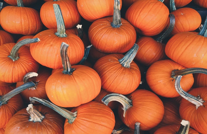 pumpkins by Corey Blaz?width=719&height=464&fit=crop&auto=webp