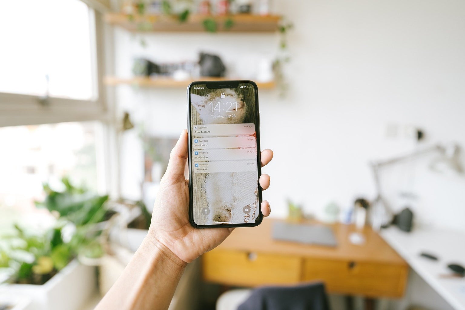 notifications on iPhone