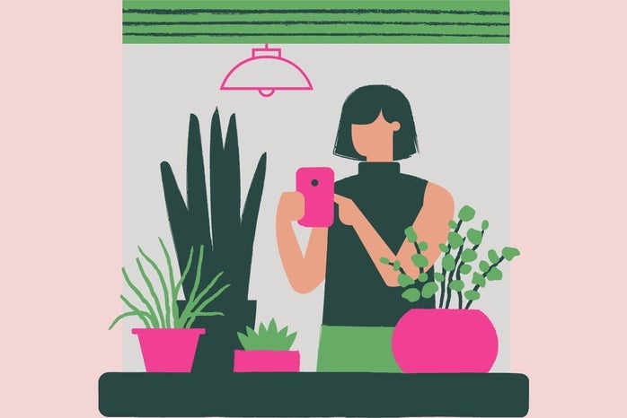 woman at home with plants and phone?width=698&height=466&fit=crop&auto=webp