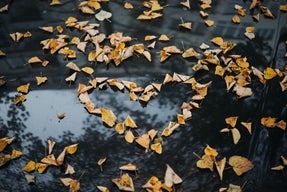 Heart made out of fall leaves.