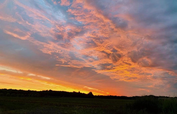 Sunset with pink sky by Haley Carr?width=719&height=464&fit=crop&auto=webp