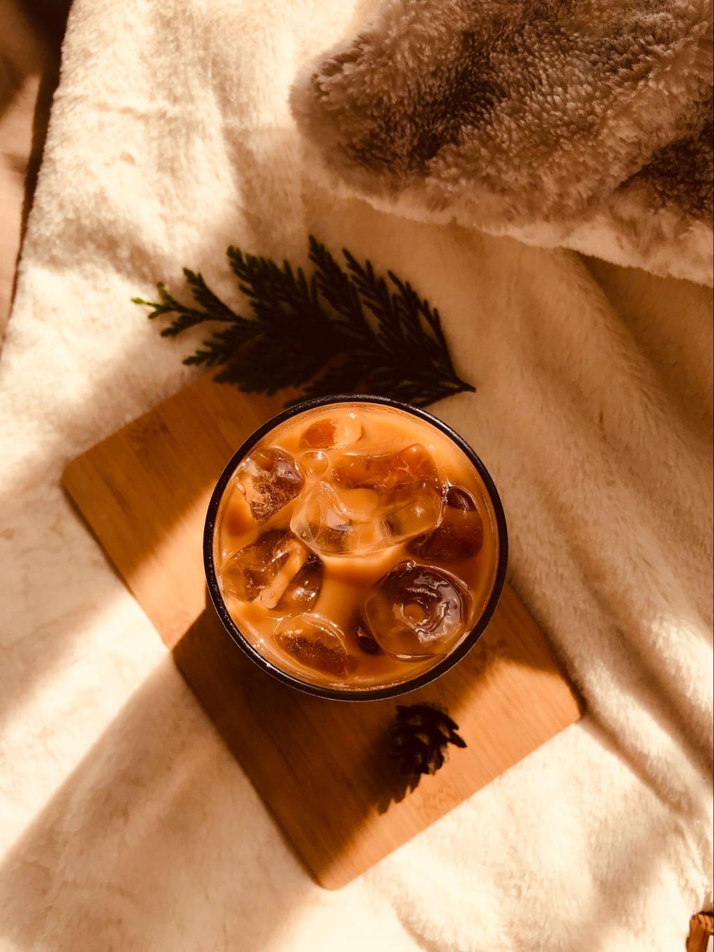 warm toned latte drink from above with pine and pinecone in background on blanket